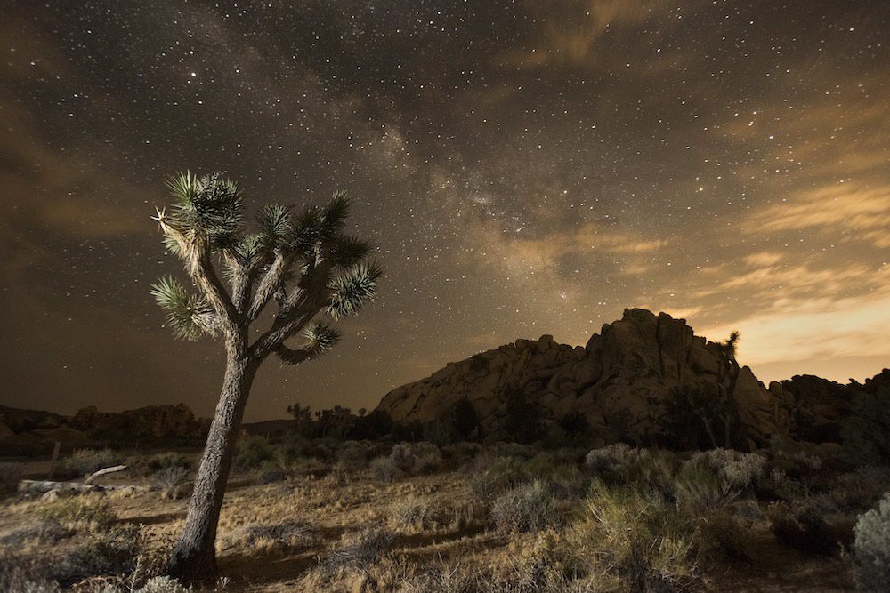 Νυχτερινός ουρανός στο Εθνικό Πάρκο Joshua Tree NPS: Brad Sutton