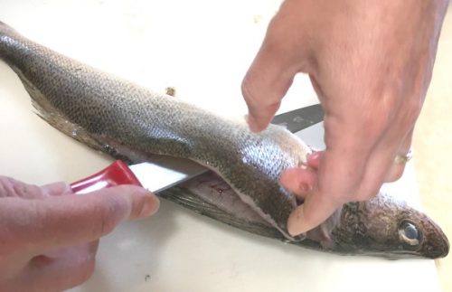 Πώς να φιλετάρετε ένα ψάρι.  Εύκολες οδηγίες βήμα προς βήμα!