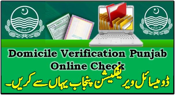 Punjab Domicile Verification Management System